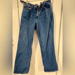 Abercrombie & Fitch The Baggy Relaxed Fit Blue Jeans